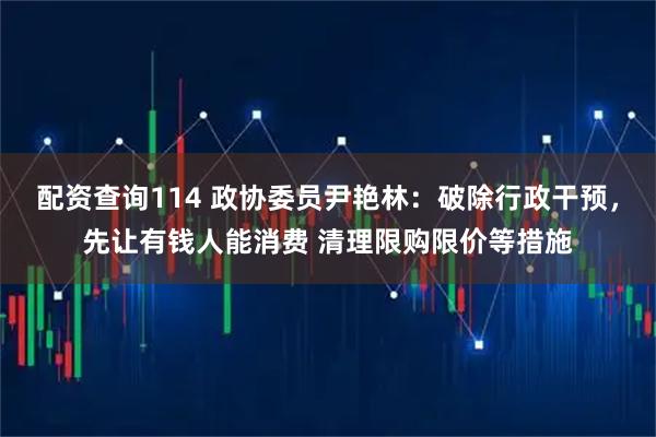 配资查询114 政协委员尹艳林：破除行政干预，先让有钱人能消费 清理限购限价等措施