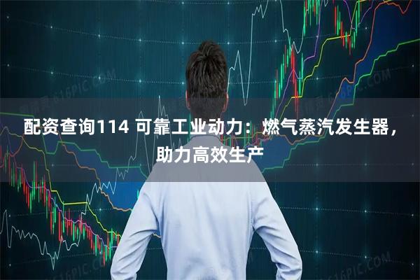 配资查询114 可靠工业动力：燃气蒸汽发生器，助力高效生产