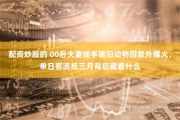 配资炒股的 00后夫妻接手破旧动物园意外爆火，单日客流抵三月背后藏着什么